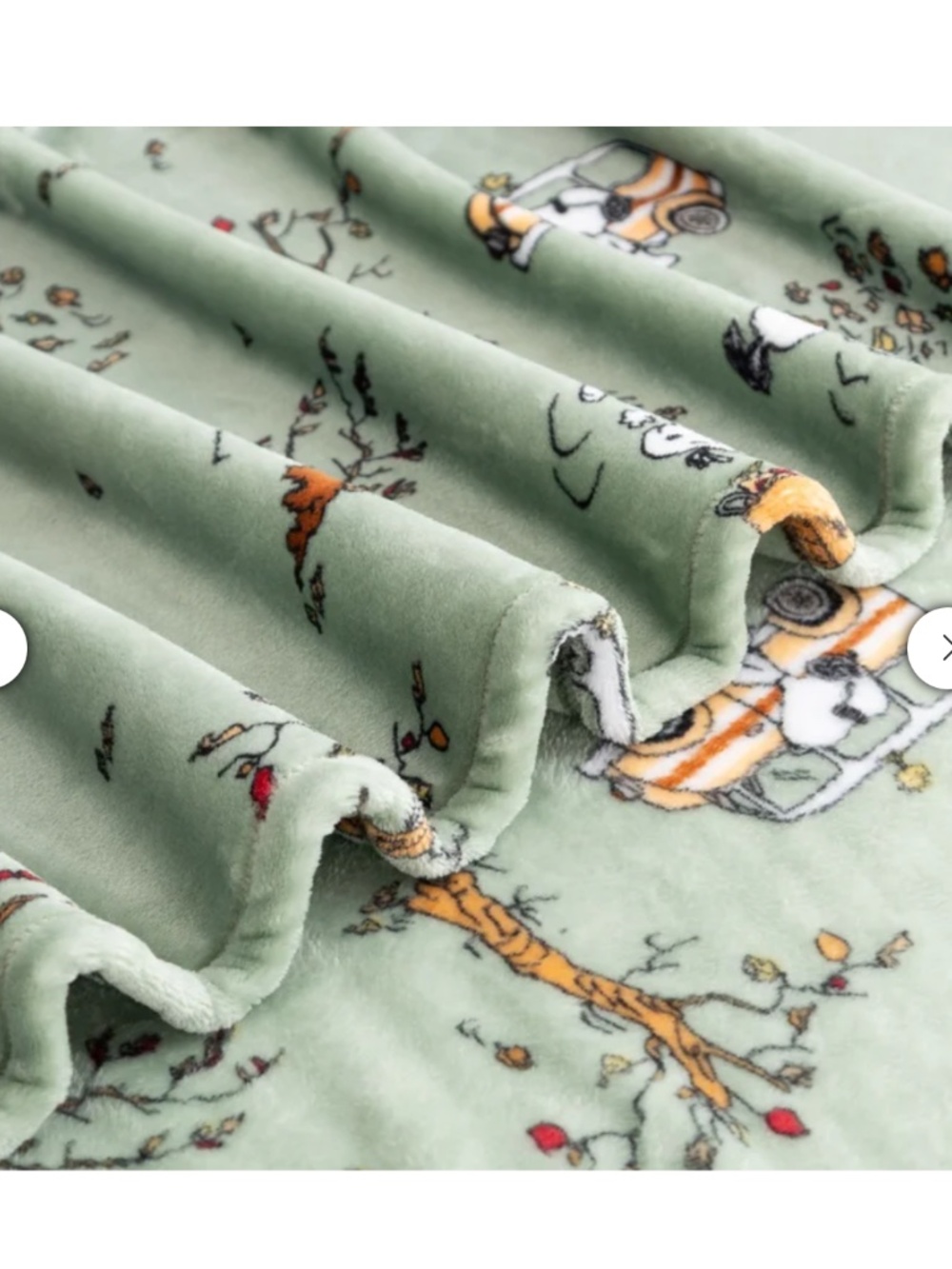 Peanuts Printed VelvetLoft Throw - Picture 5 of 8